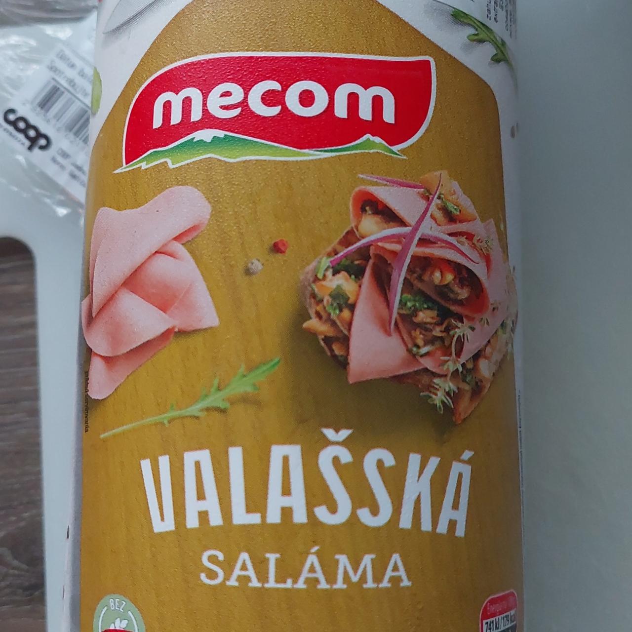 Fotografie - Valašská saláma Mecom