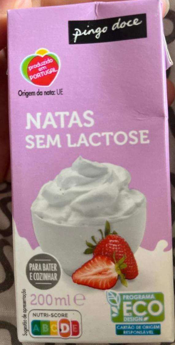 Fotografie - Natas Sem Lactose pingo doce