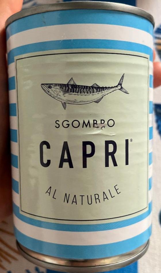 Fotografie - Sgombro al naturale Capri