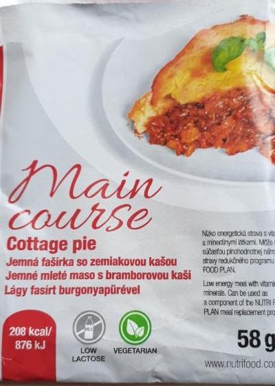 Fotografie - jemná fašírka so zemiakovou kašou nutri food