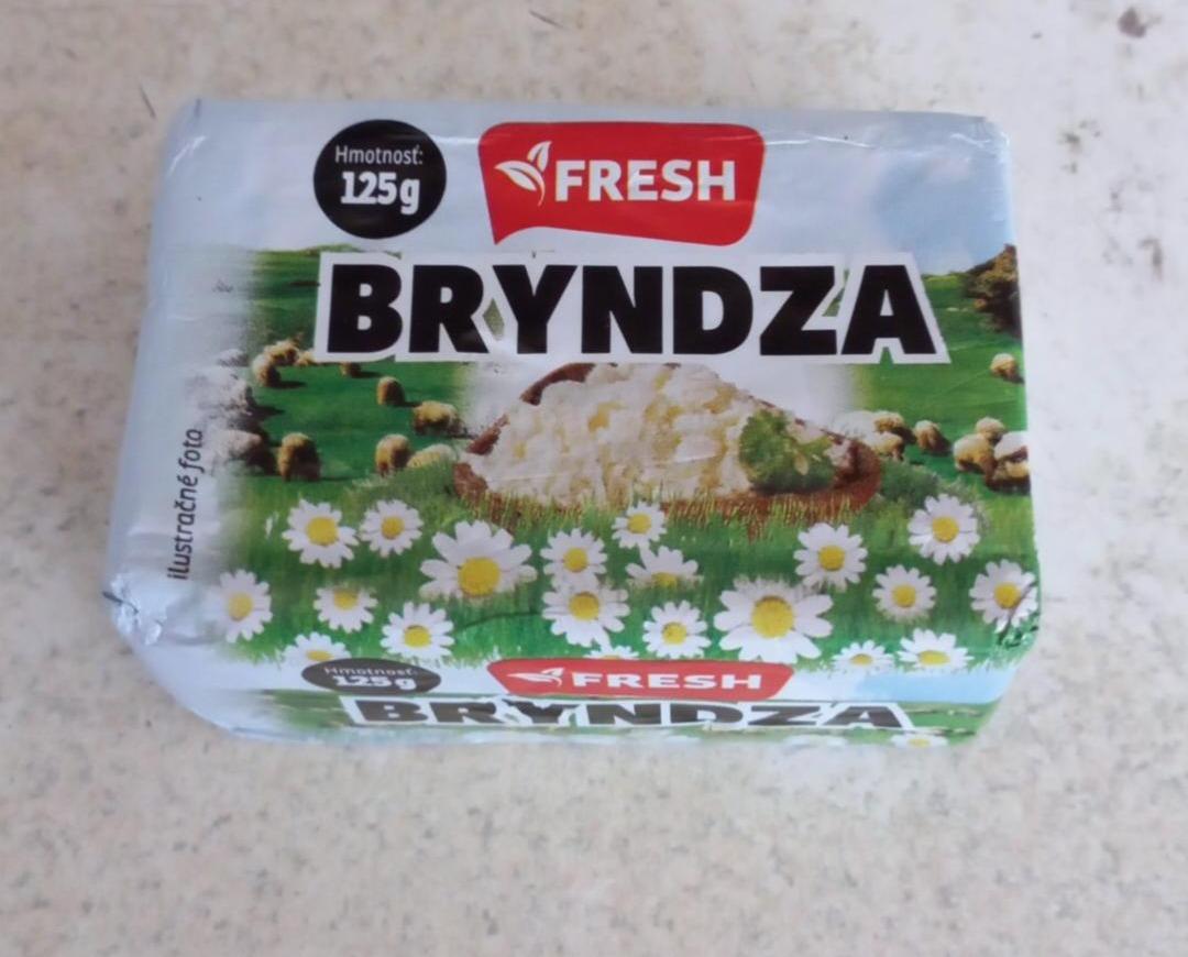 Fotografie - Bryndza Fresh