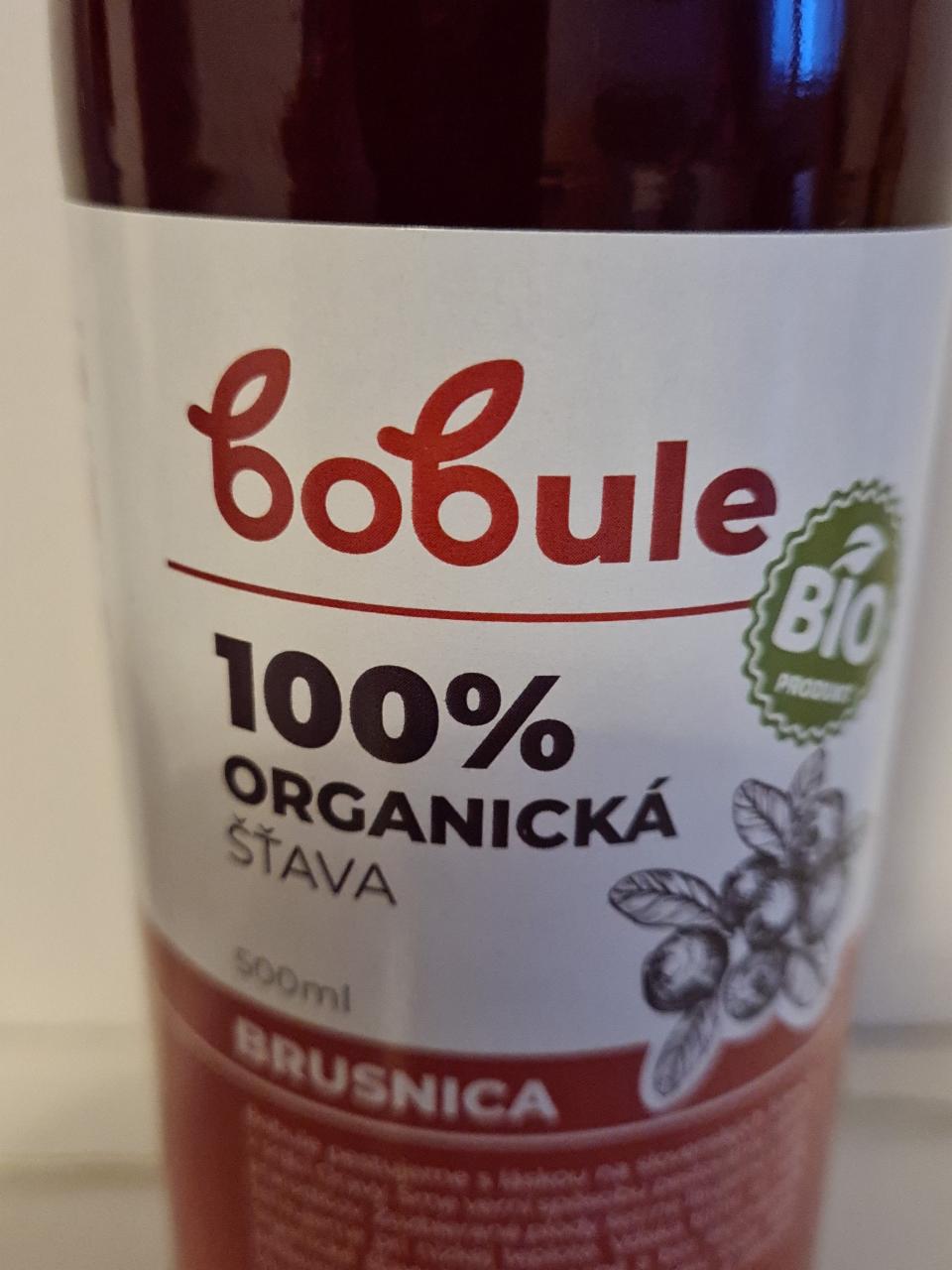 Fotografie - bobule 100% organicka stava Brusnica