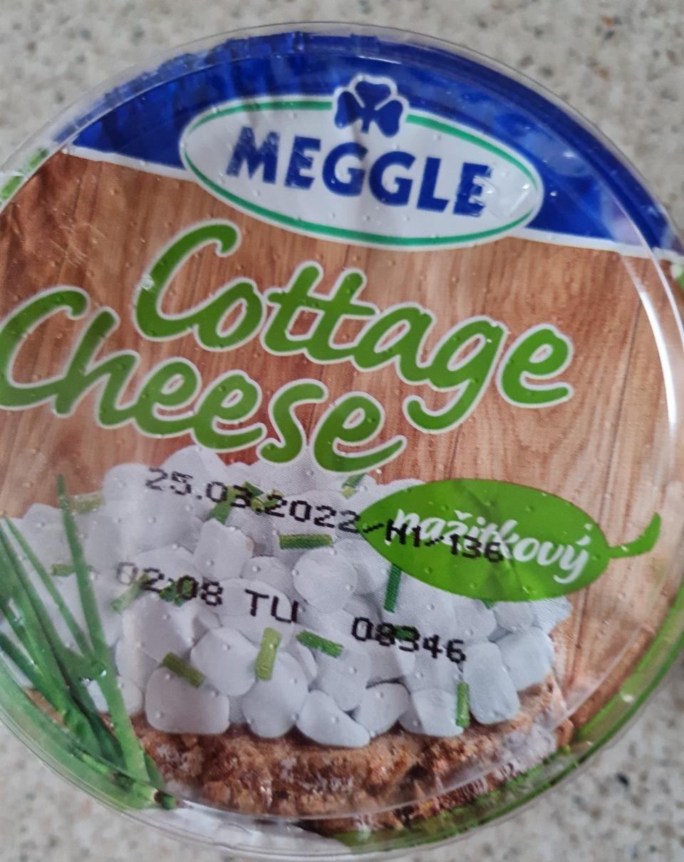 Fotografie - Cottage Cheese pažítkový Meggle