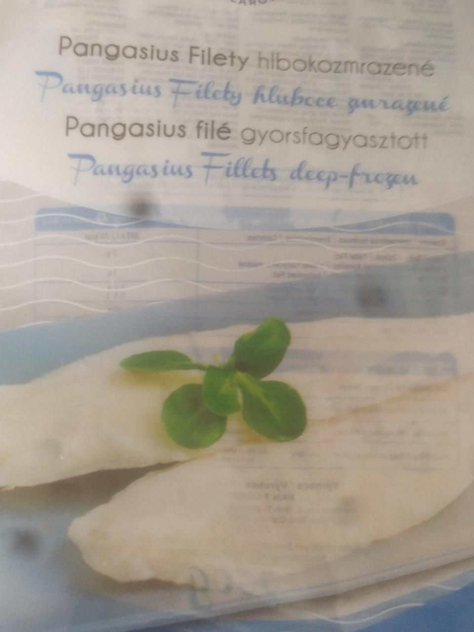 Fotografie - Pangasius filety hlbokozmrazené