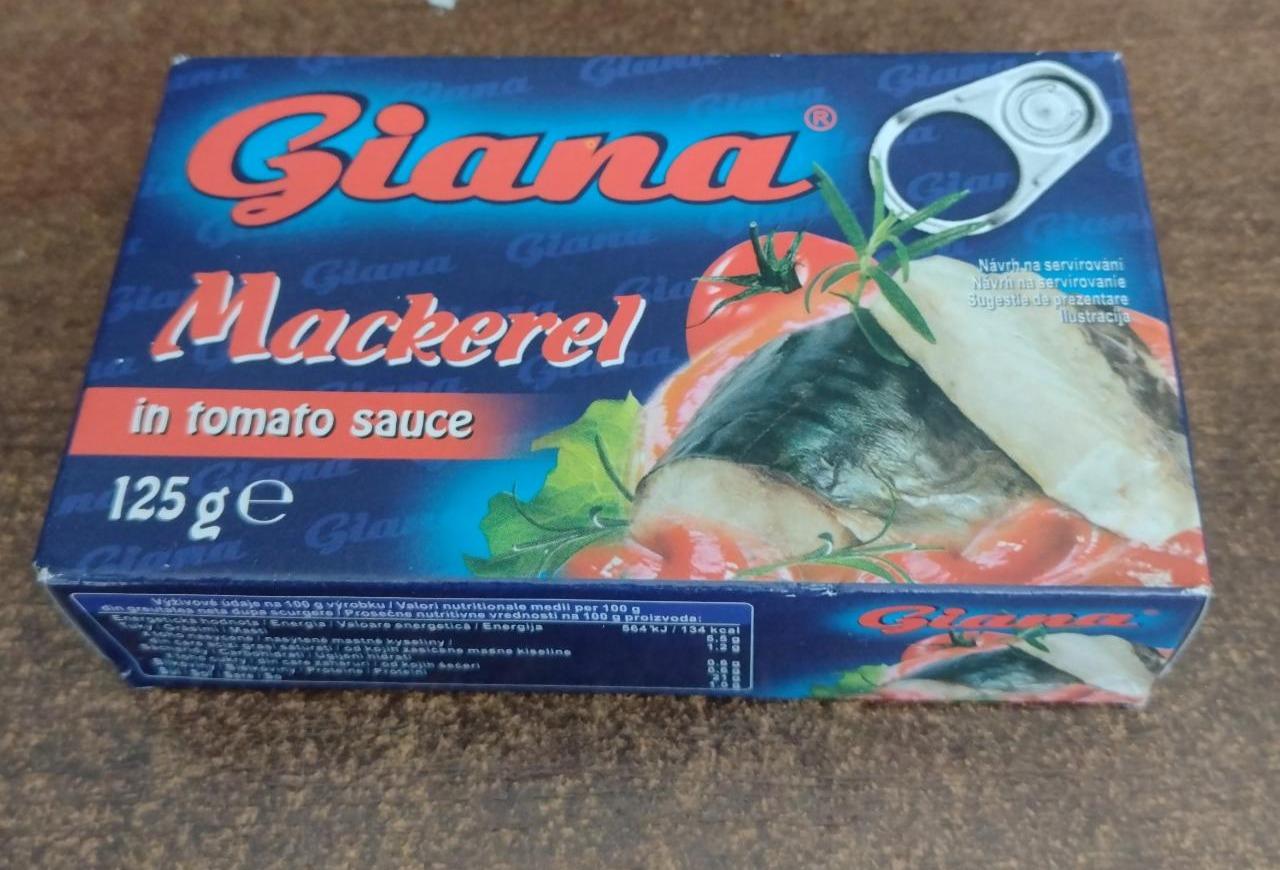 Fotografie - Mackerel in tomato sauce Giana