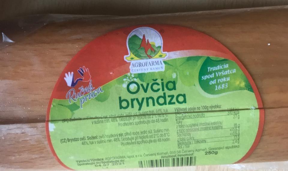 Fotografie - Ovčia bryndza Agrofarma