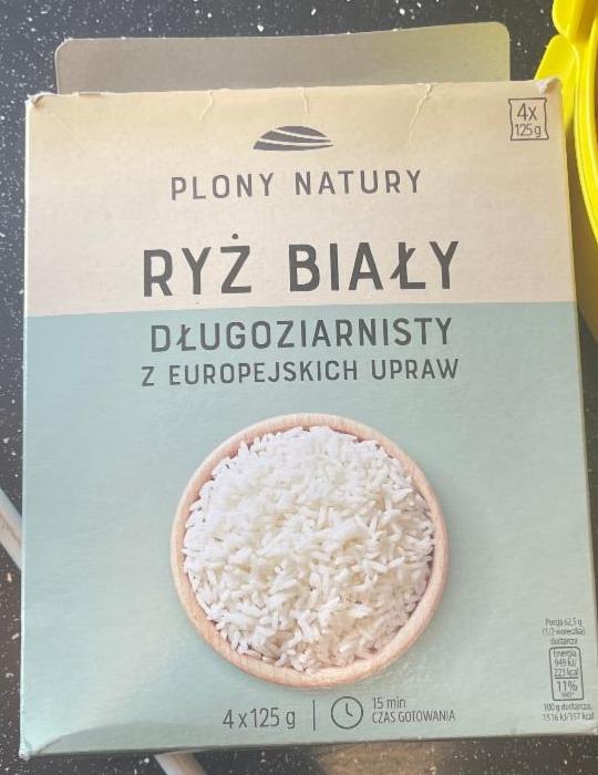 Fotografie - riaz bialy plony natury