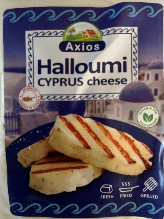 Fotografie - Halloumi Cyprus cheese