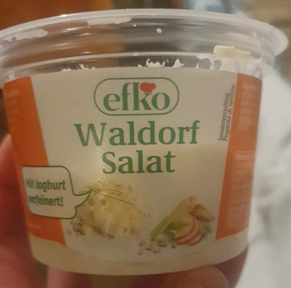 Fotografie - Waldorf salat efko