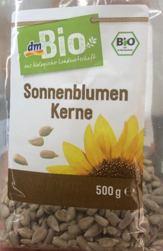 Fotografie - Sonnenblumen Kerne dmBio