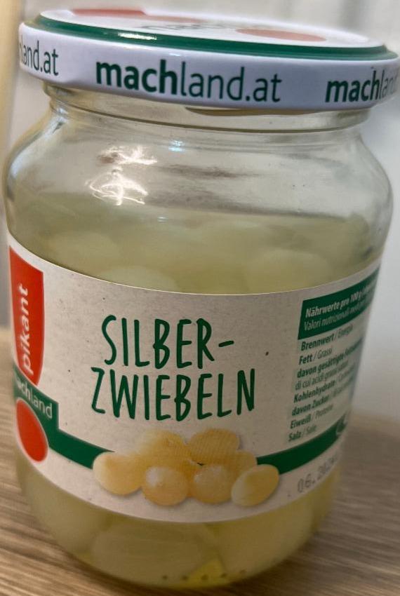 Fotografie - Silber zwiebeln Machland