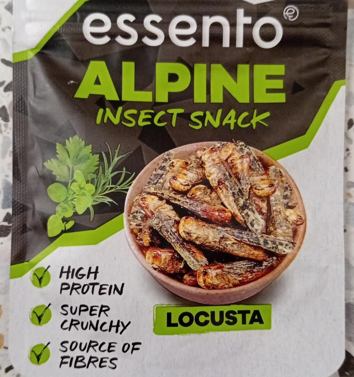 Fotografie - Alpine insect snack Locusta essento