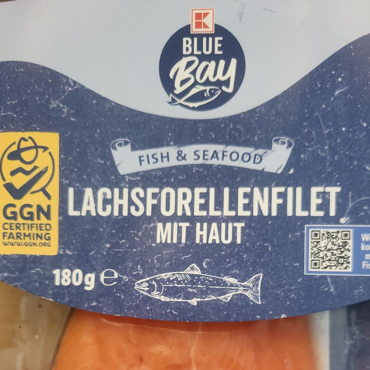 Fotografie - Lachsforellenfilet mit Haut Blue bay