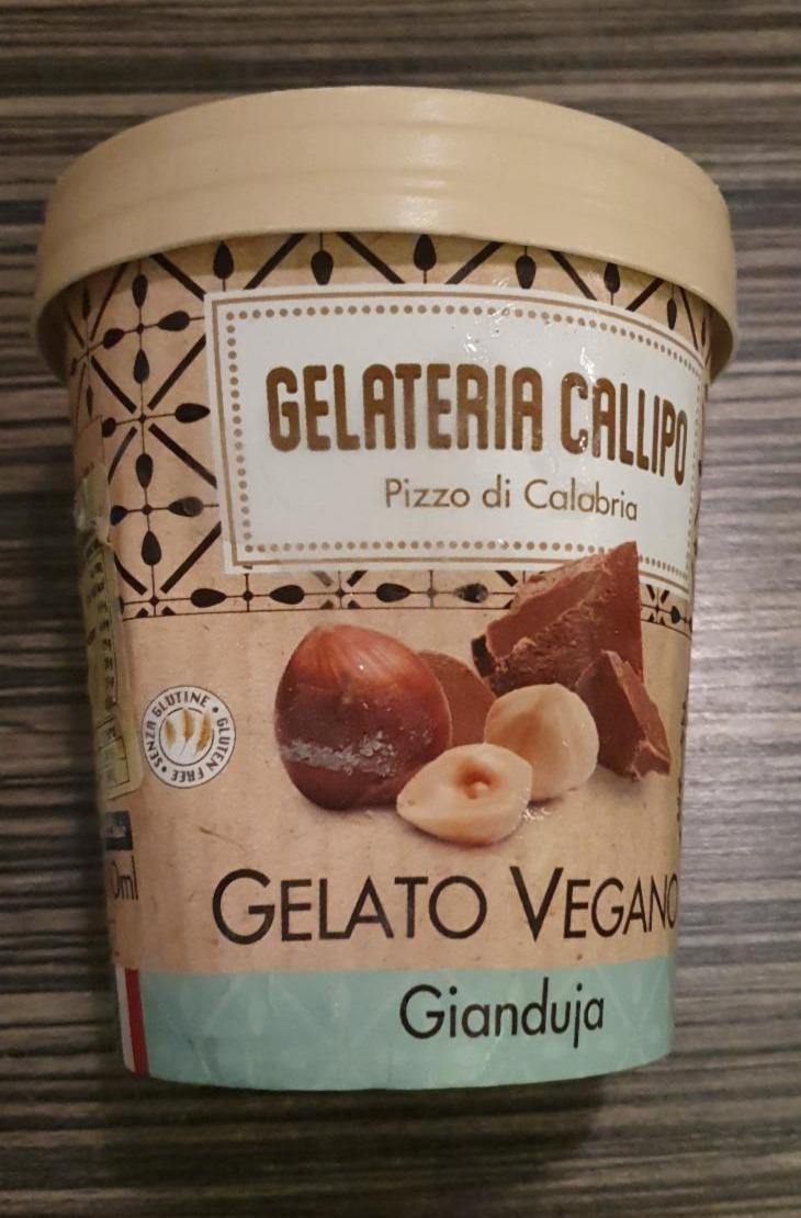 Fotografie - Gelato Vegano Gianduja Gelateria Callipo