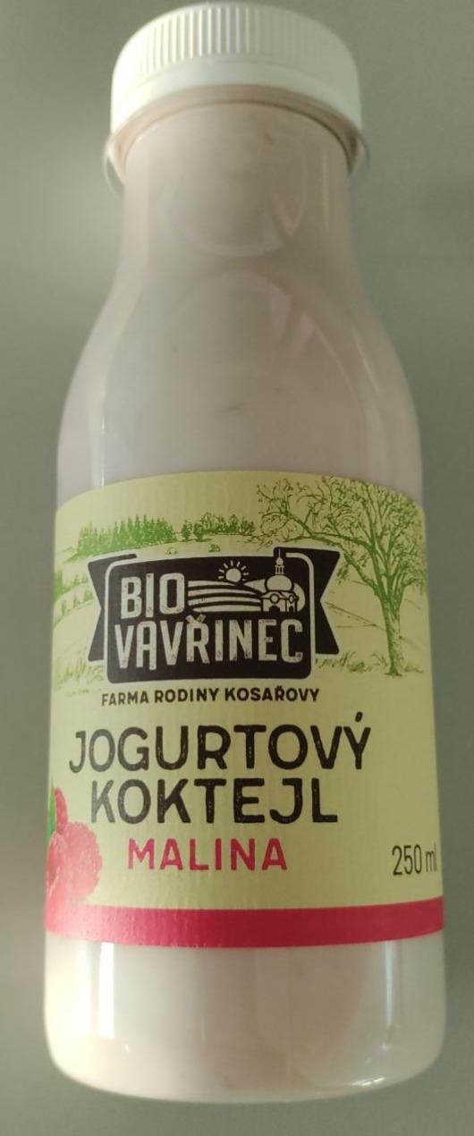 Fotografie - Bio Vavřinec Jogurtový koktejl Malina