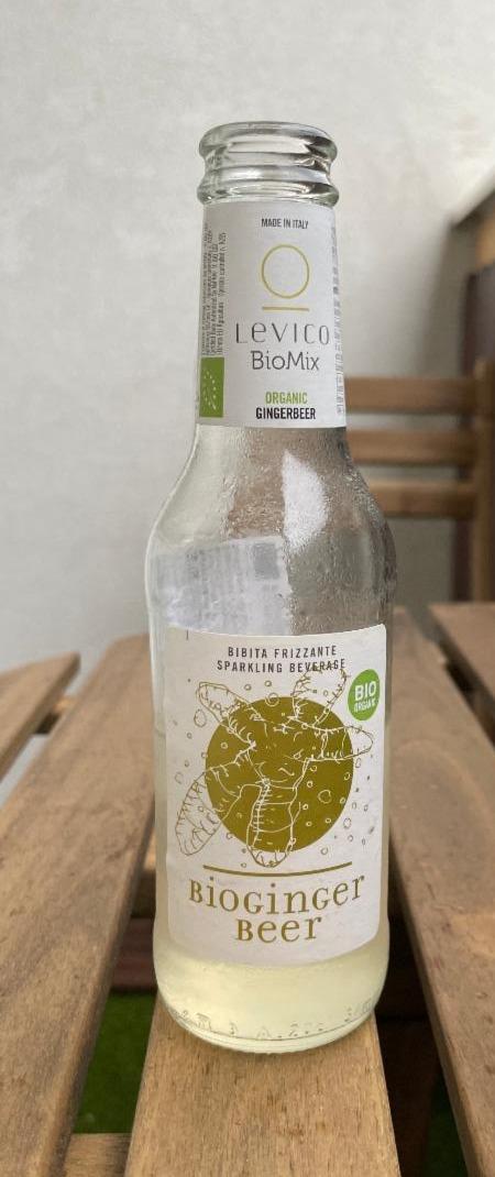 Fotografie - LEVICO BioMix Bioginger Beer