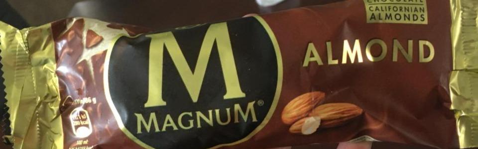 Fotografie - Magnum Almond Algida