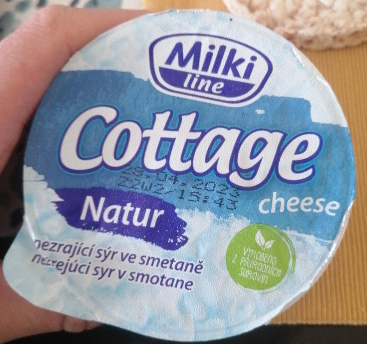 Fotografie - Cottage cheese Natur Milki line