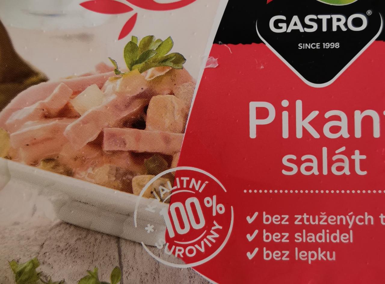 Fotografie - Gastro pikant salat