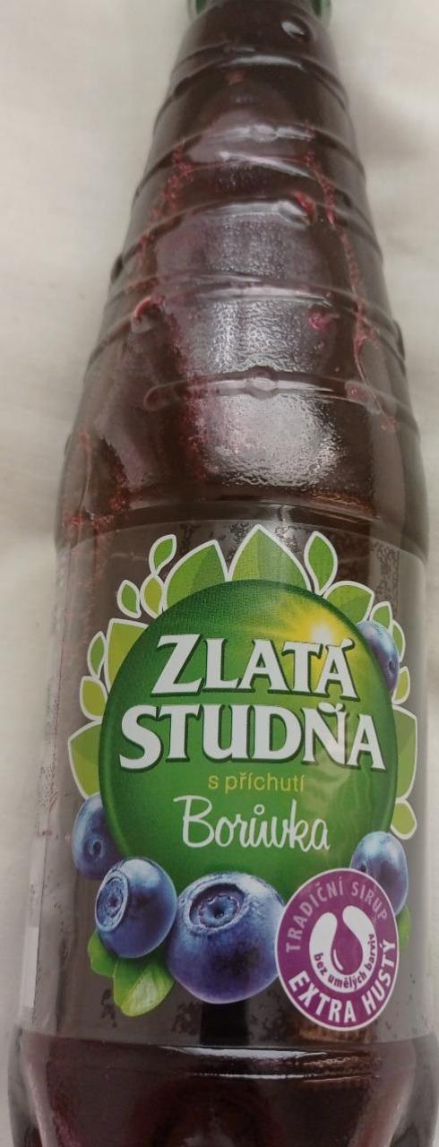 Fotografie - Zlatá studňa sirup čučoriedka