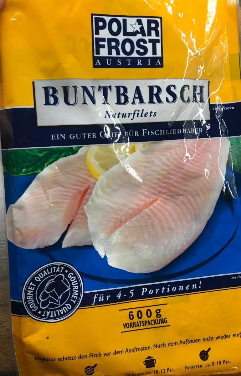 Fotografie - Buntbarsch Naturfilets