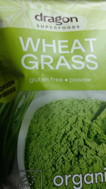 Fotografie - Wheat grass Dragon superfoods