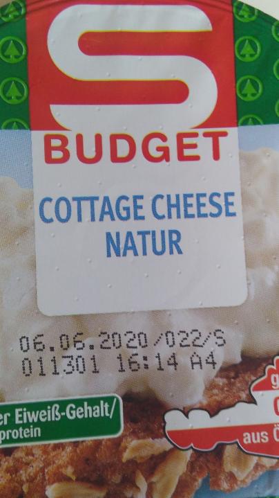 Fotografie - Cottage cheese natur S Budget