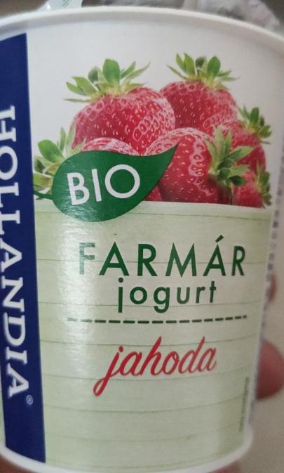 Fotografie - Hollandia Farmár jogurt jahoda