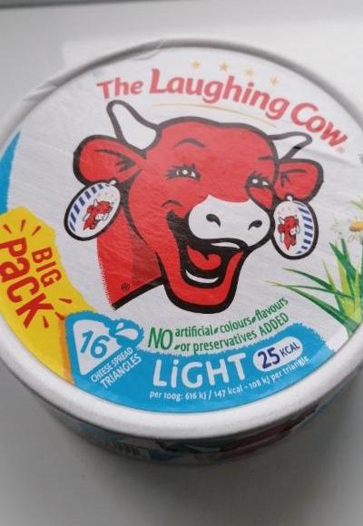 Fotografie - The Laughing Cow Light