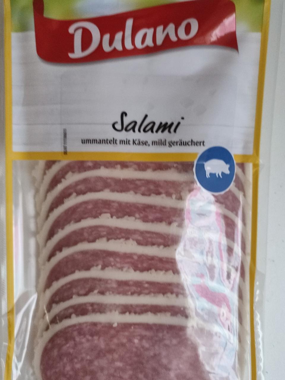 Fotografie - salami mit Käse