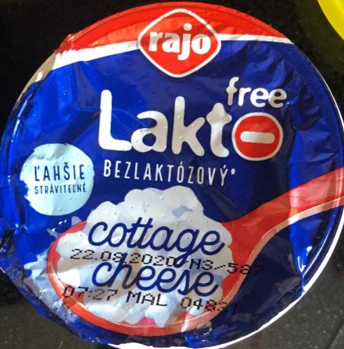 Fotografie - Cottage Cheese Lakto free Rajo