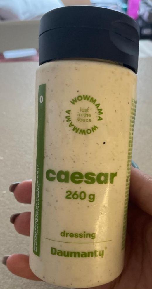 Fotografie - Caesar dressing Daumantu