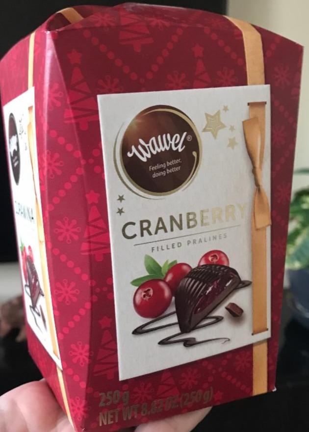 Fotografie - cranberry filled pralines wawel
