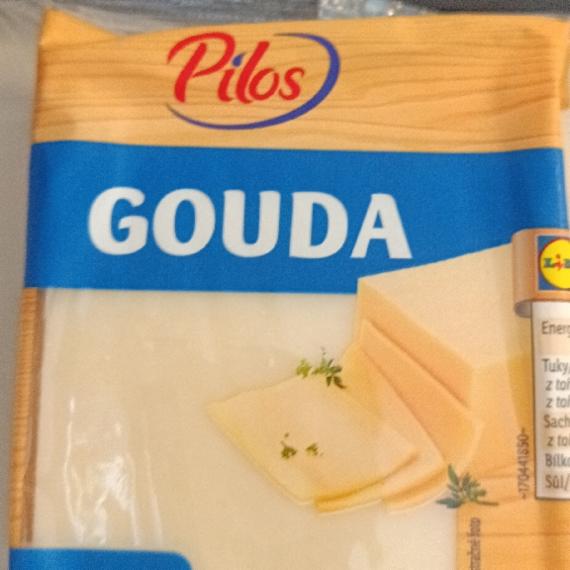 Fotografie - Gouda Pilos