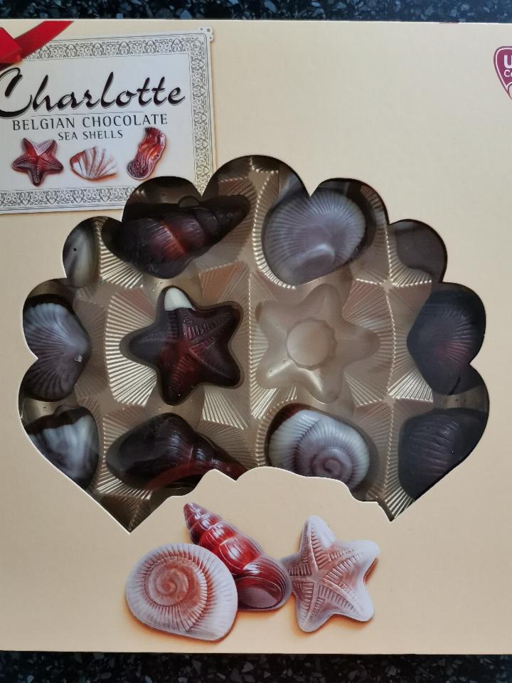 Fotografie - j. d. gross belgian chocolate sea shells original