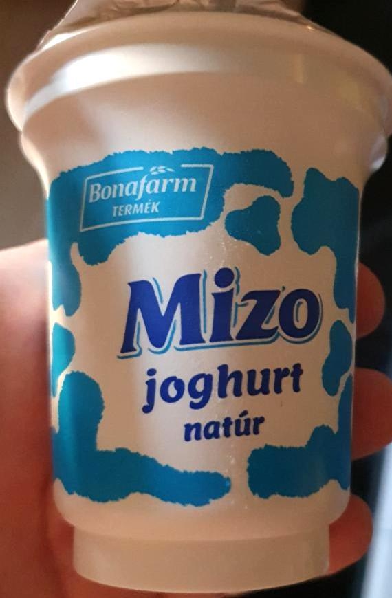 Fotografie - Joghurt natúr Mizo