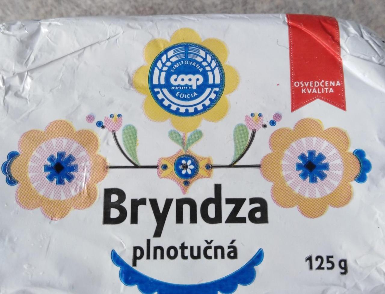 Fotografie - Bryndza plnotučná Coop