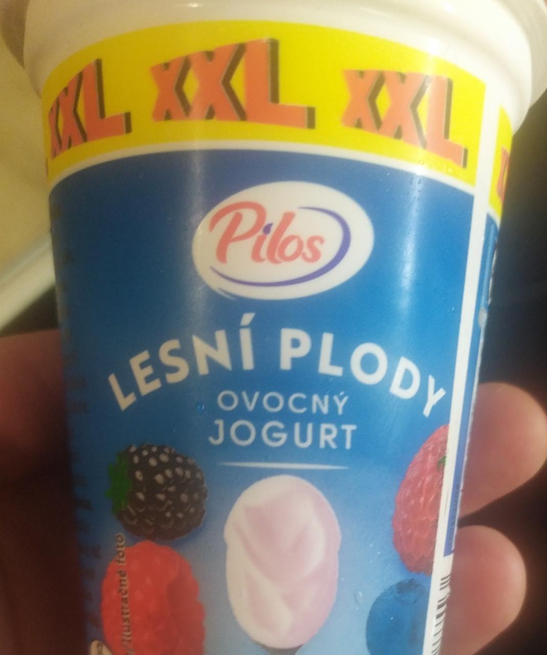 Fotografie - Lesní plody Ovocný jogurt Pilos