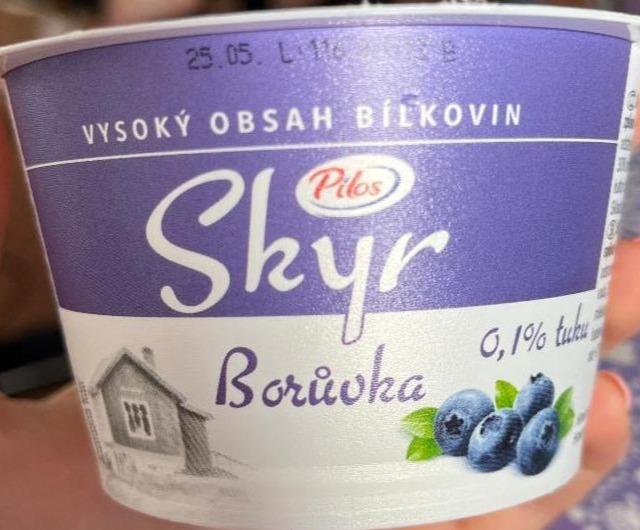 Fotografie - skyr čučoriedka Pilos