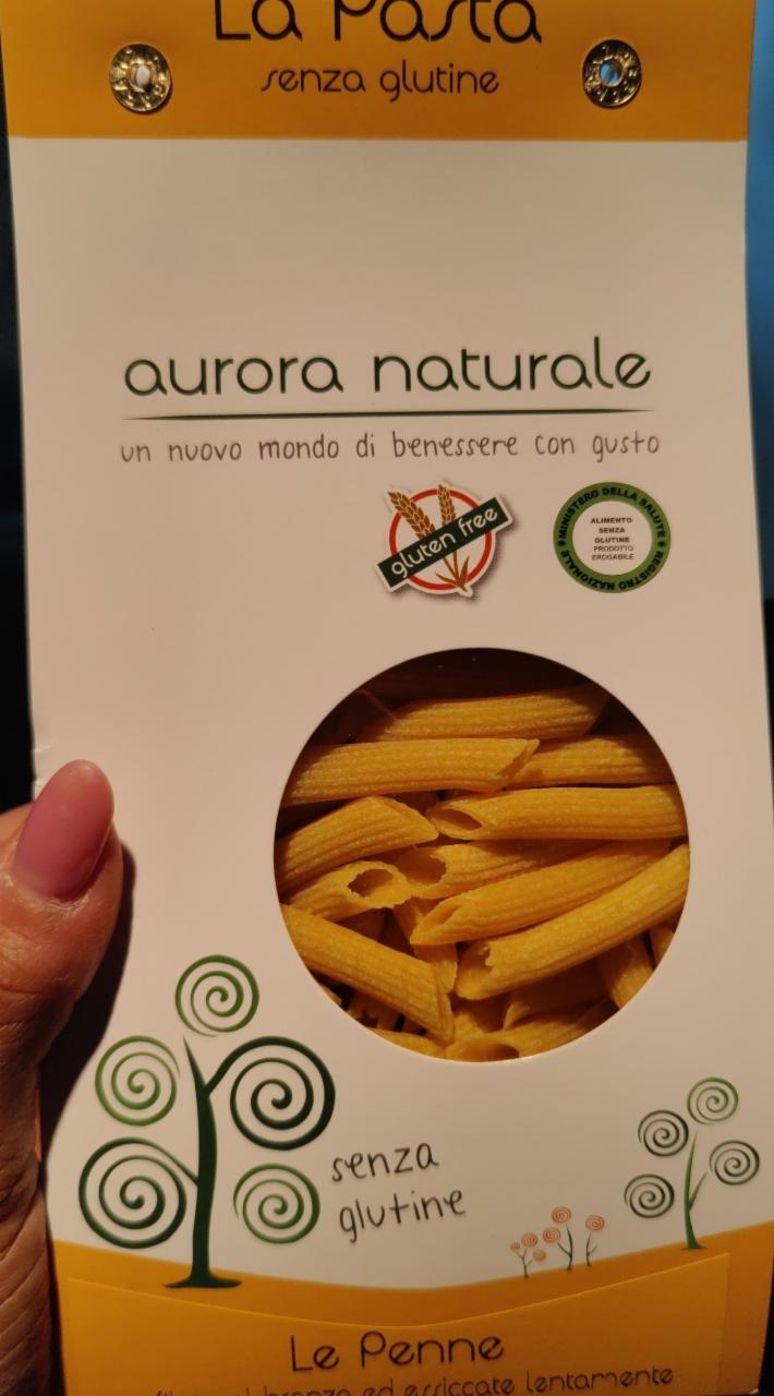 Fotografie - aurora naturale le penne