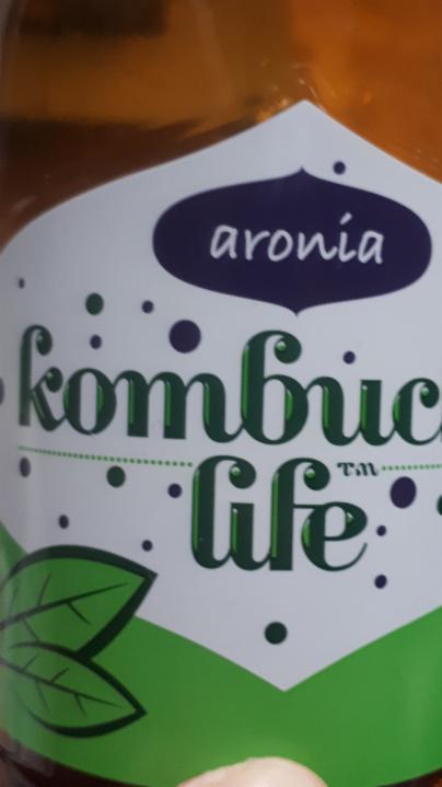 Fotografie - kombucha life aronia