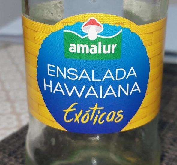 Fotografie - Ensalada hawaiana exoticas AMALUR