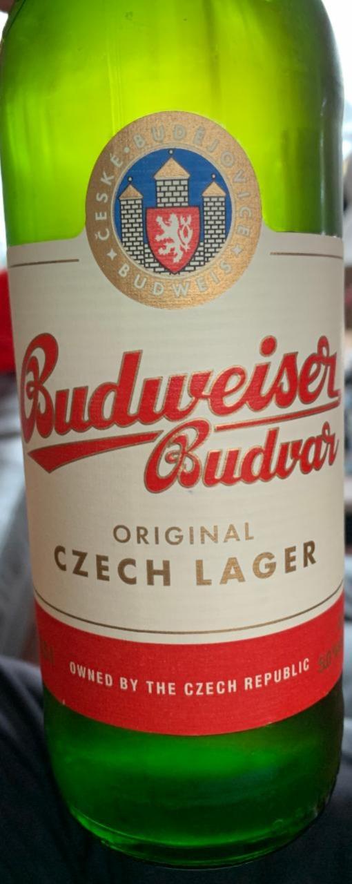 Fotografie - pivo svetlé Budvar 12°