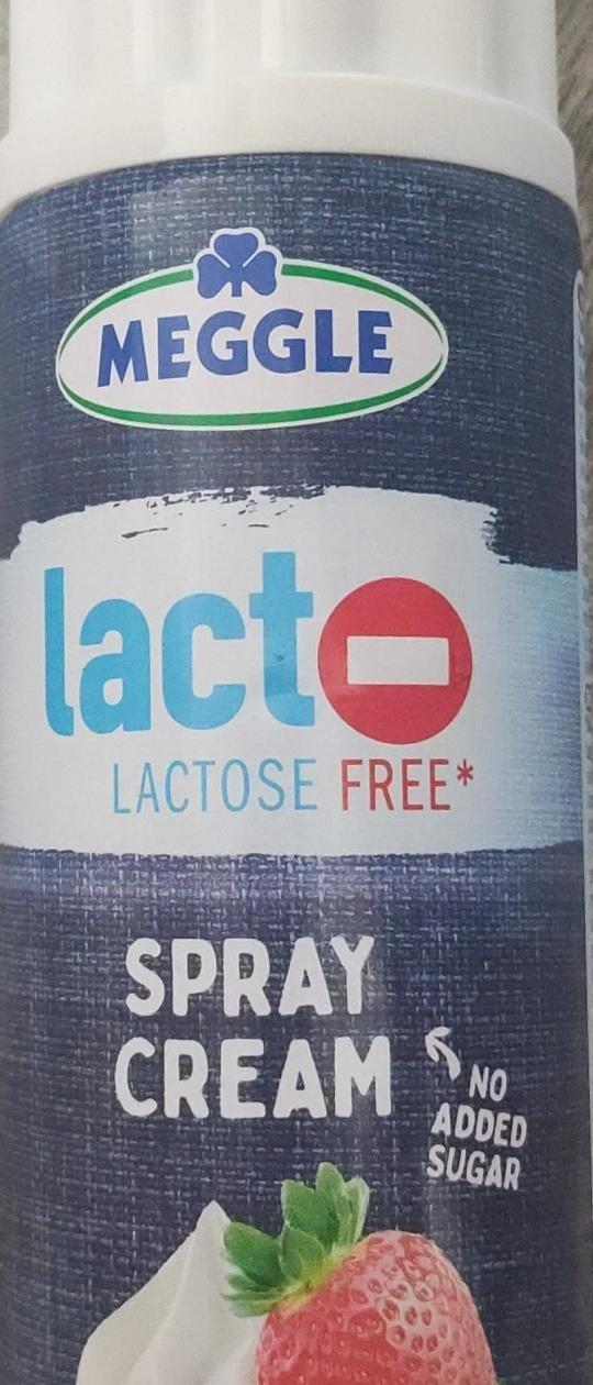 Fotografie - lactose free spray cream šlehačka Meggle