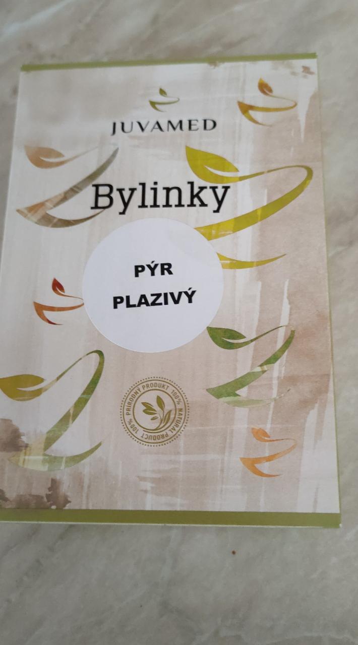 Fotografie - Bylinky Pýr Plazivý