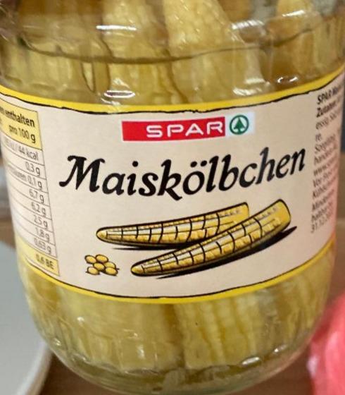 Fotografie - Maiskolbchen Spar