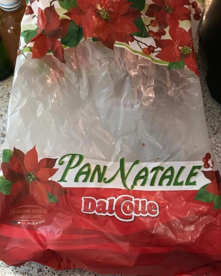 Fotografie - pan natale panettone