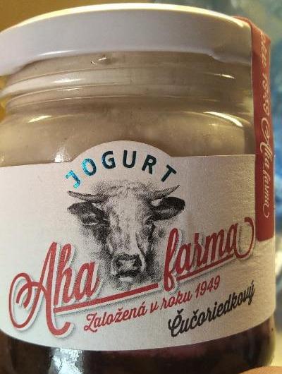 Fotografie - Jogurt čučoriedkový AHA farma