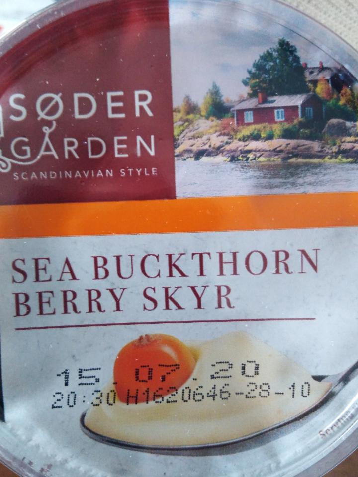 Fotografie - Sea Buckthorn Berry Skyr