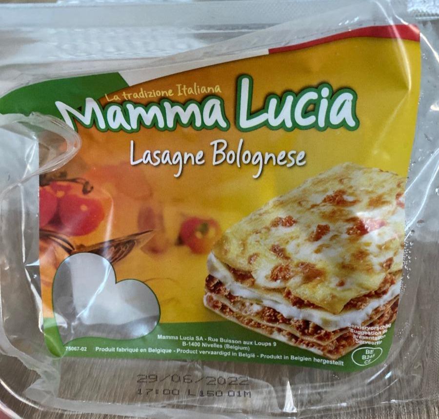 Fotografie - Lasagne Bolognese Mamma Lucia